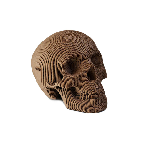 CBS_VinceSkull