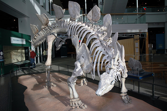 ScienceStegasaurus